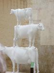 181014-035117_MALTA.jpg