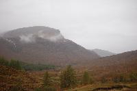 DSC_0703.JPG