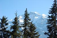 20111003-0844b.jpg