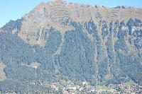 20111003-0845.jpg