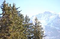 20111003-0846.jpg