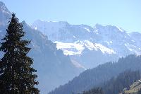 20111003-0846a.jpg