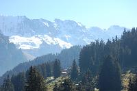 20111003-0847.jpg