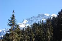 20111003-0851.jpg