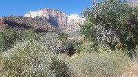 Day_01_ZION_191006-134251.jpg
