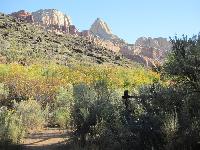 Day_03_CAPITOL_REEF_191008-102407.jpg