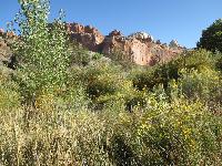 Day_03_CAPITOL_REEF_191008-103555.jpg