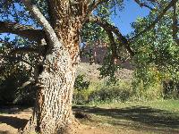 Day_03_CAPITOL_REEF_191008-104711.jpg